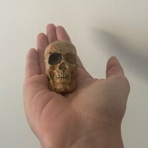 Miniature skull